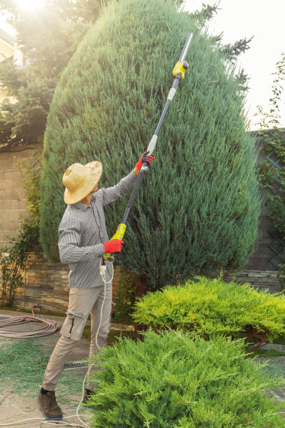 Best Lawn Maintenance Plans  in Spring Ridge, MD
